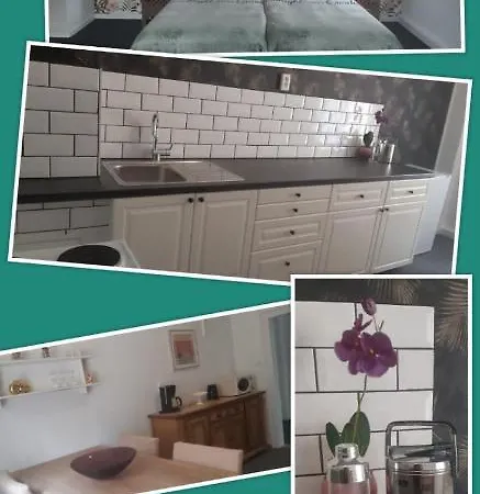 Apartment Haus Stefanie Elvire Altenberg