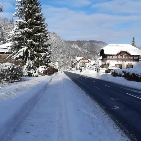 Apartment Haus Stefanie Elvire Altenberg (Erzgebirge)