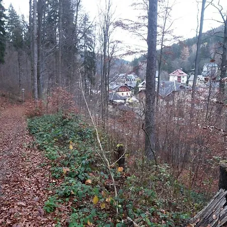 Apartment Haus Stefanie Elvire Altenberg (Erzgebirge)