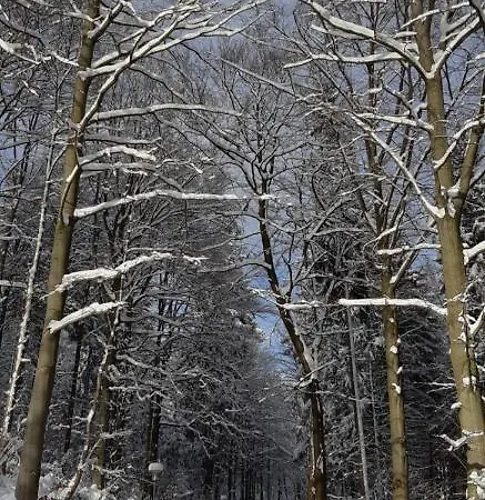 Haus Stefanie Elvire Appartement Altenberg
