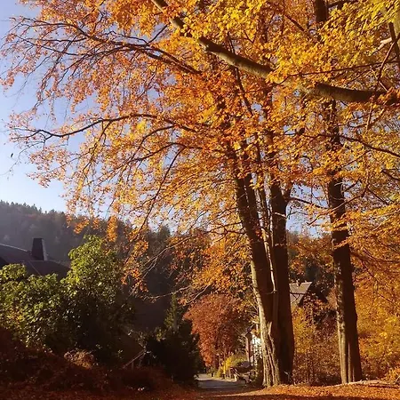 Apartament Haus Stefanie Elvire