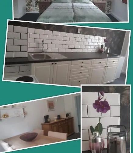 Apartament Haus Stefanie Elvire Altenberg (Osterzgebirge)