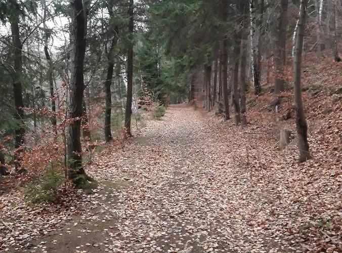 Haus Stefanie Elvire Apartament