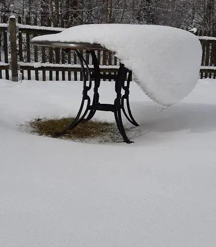 Apartament Haus Stefanie Elvire Altenberg (Osterzgebirge)