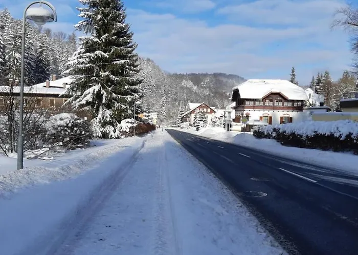 Apartament Haus Stefanie Elvire Altenberg (Osterzgebirge)