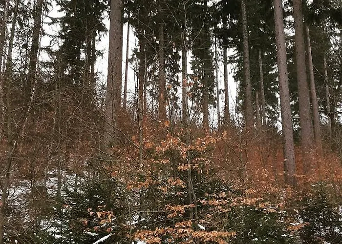 Haus Stefanie Elvire Apartament