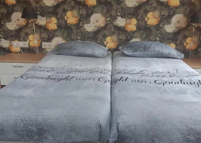 Apartament Haus Stefanie Elvire Altenberg (Osterzgebirge)