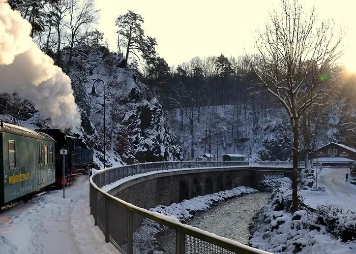 Apartament Haus Stefanie Elvire Altenberg (Osterzgebirge)