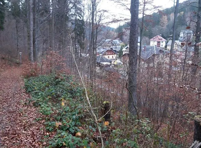 Apartament Haus Stefanie Elvire Altenberg (Osterzgebirge)