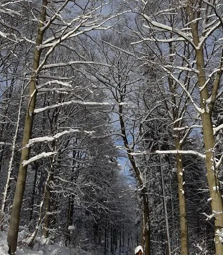 Haus Stefanie Elvire Apartament Altenberg (Osterzgebirge)