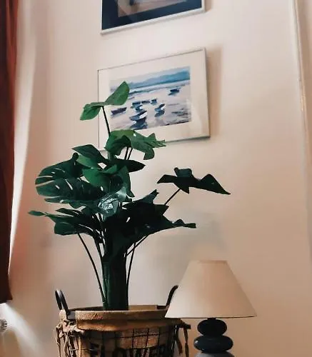 Haus Stefanie Elvire Altenberg (Osterzgebirge)