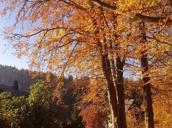 Apartament Haus Stefanie Elvire