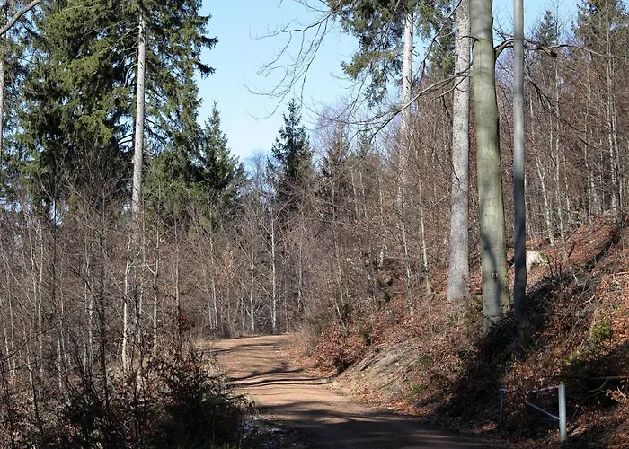 Haus Stefanie Elvire Apartament *